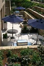 5th image of 210 N 17th St Unit 211