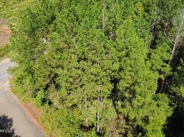 5464B Pecan Orchard Rd, Liberty, MS 39645