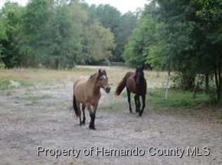14234 Ross Ln, Brooksville, FL 34614