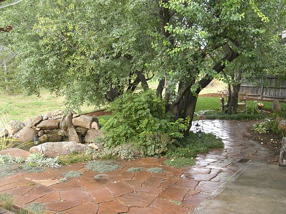 backyard to the NE