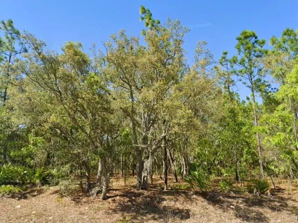 4096 N Wrangler Point, Beverly Hills, FL 34465