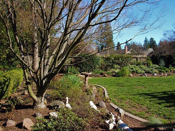 3rd image of 1607 Champion Oaks Dr