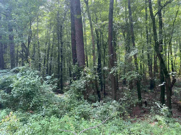 201 Highway, Scotts Hill, TN 38374