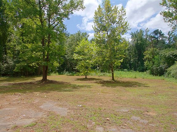 4th image of 13039 Raintree Cir