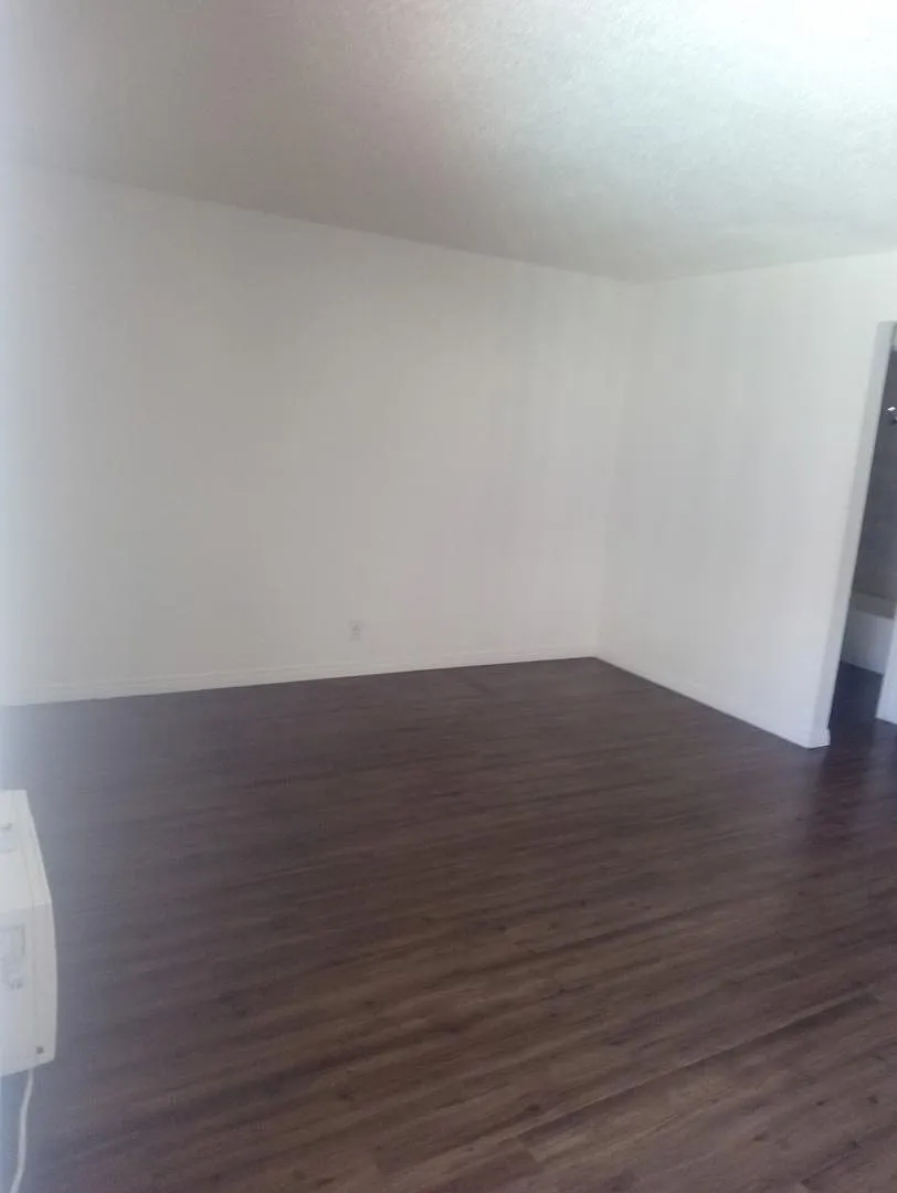 1881 Loma Vista St - 2 — Photo 2