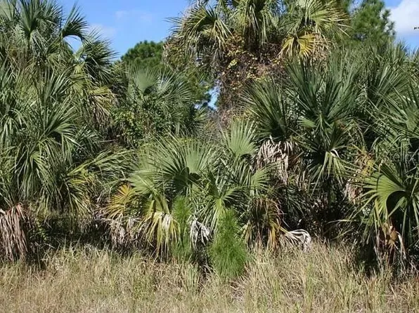 281 Farmington St SW #25, Palm Bay, FL 32908