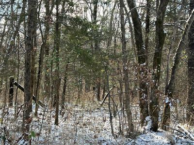 000 Durington, Buffalo, MO, 65622