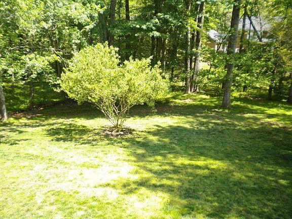 4th image of 341 Laurel Woods Dr