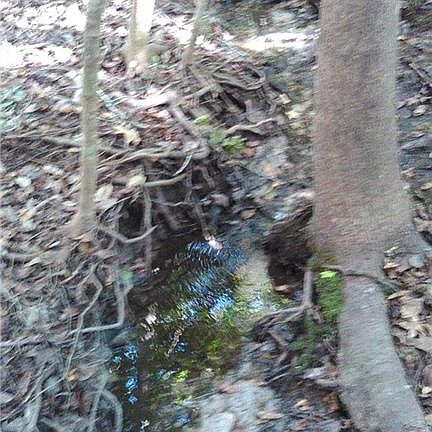 5th image of 22188 County Road 455