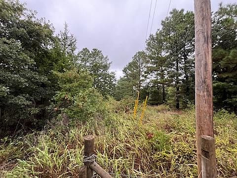 3rd image of 31 Amber Rdg #31