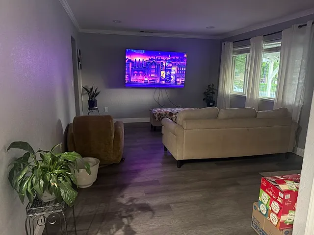 living room