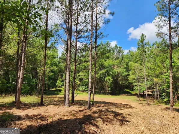 0 Smith Starley Rd, Mc Intyre, GA 31054