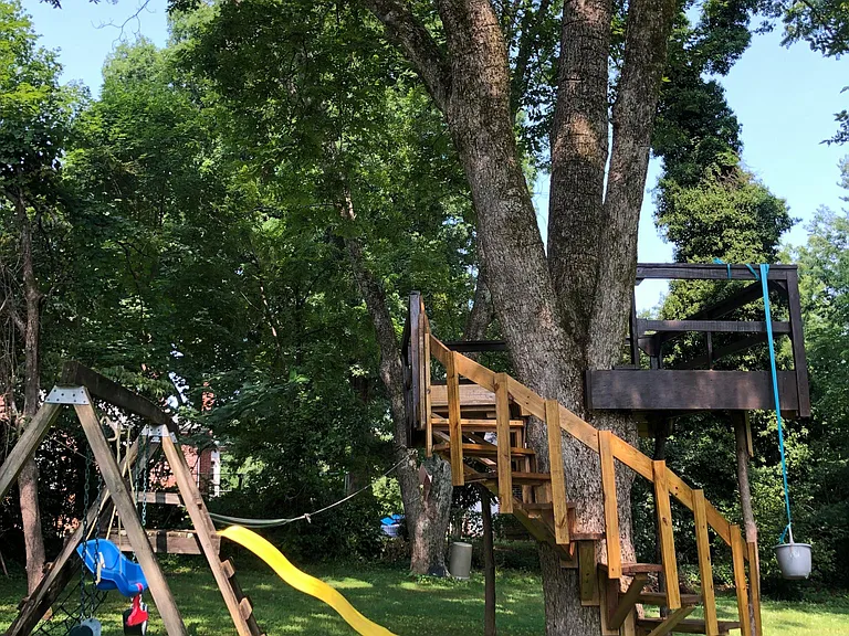 Tree house