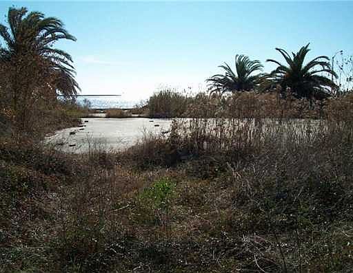 1st image of 3719 Beach Blvd