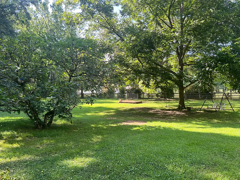 Large spacious private back yard