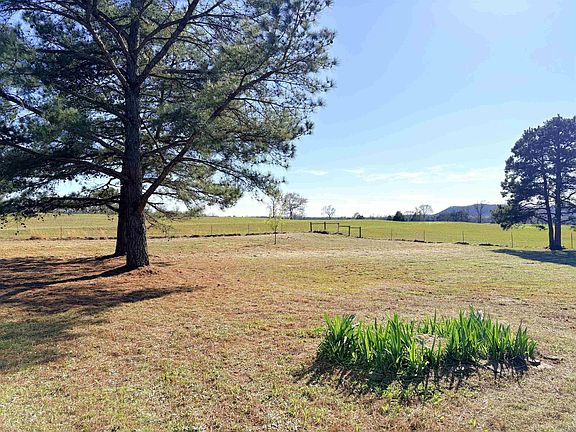 3rd image of 20 Buck Branch Rd