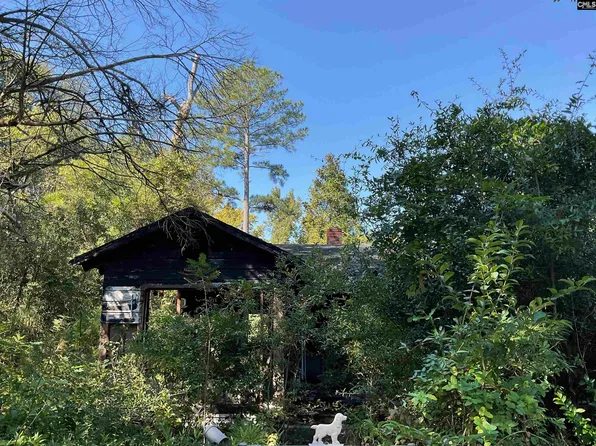 66 Swan Ln, Bamberg, SC 29003