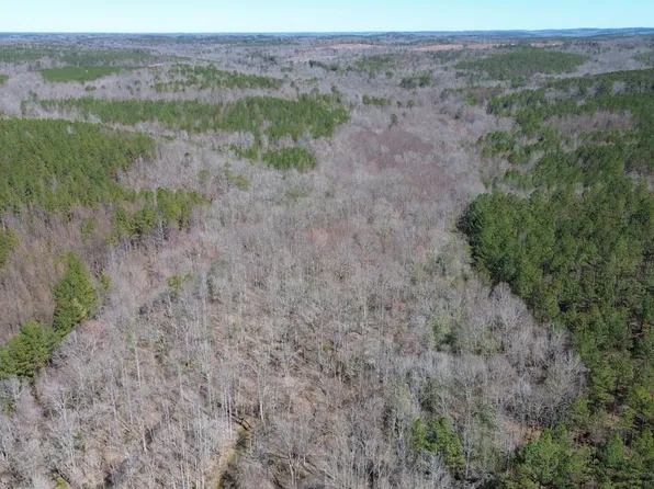 0 Hayes Rd, Detroit, AL 35552