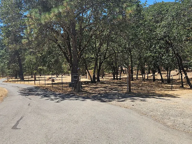 1201 W Jones Creek Rd — Photo 11