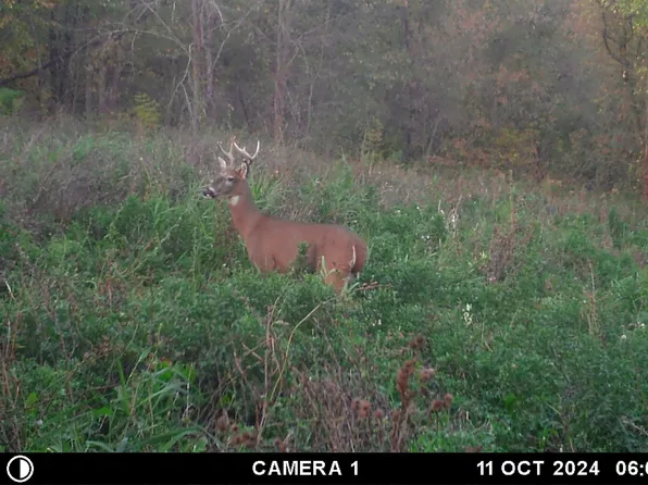 TRACT State Highway 171 #A, Gays Mills, WI 54631