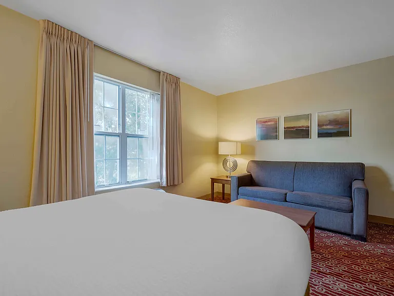Deluxe Studio - 1 Queen Bed