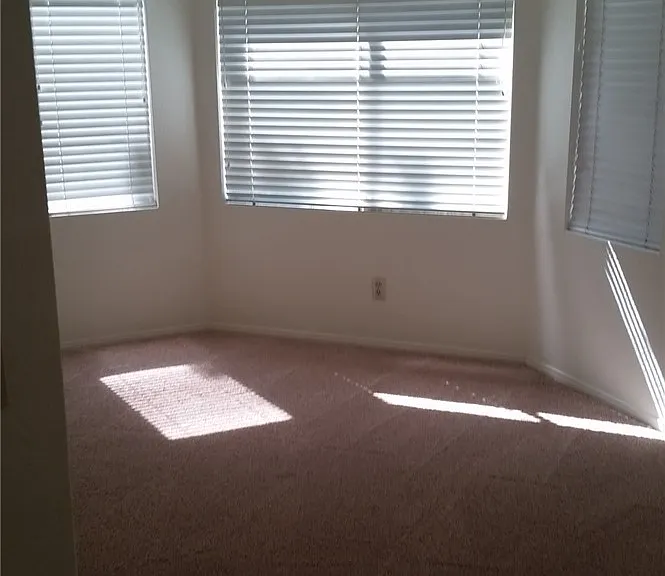 1513 War Paint Dr — Photo 16