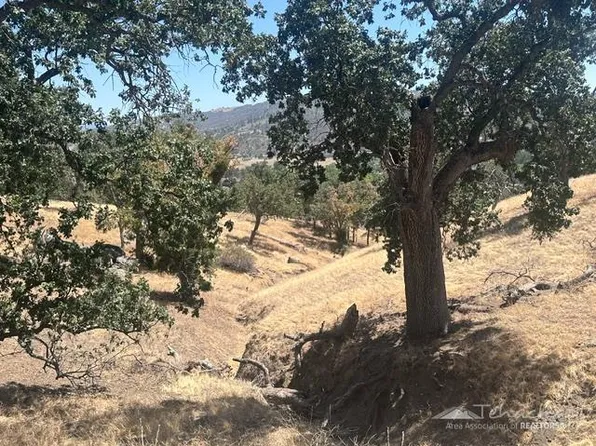 26835 Greenwater Dr Lot 321, Tehachapi, CA 93561