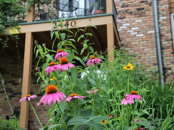 Harriet Apartments near the Wedge Coop