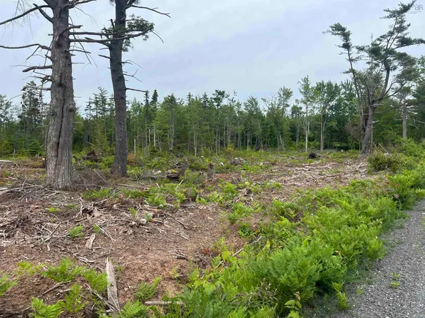 Priests Rd #2, Pictou, NS B0K 1H0