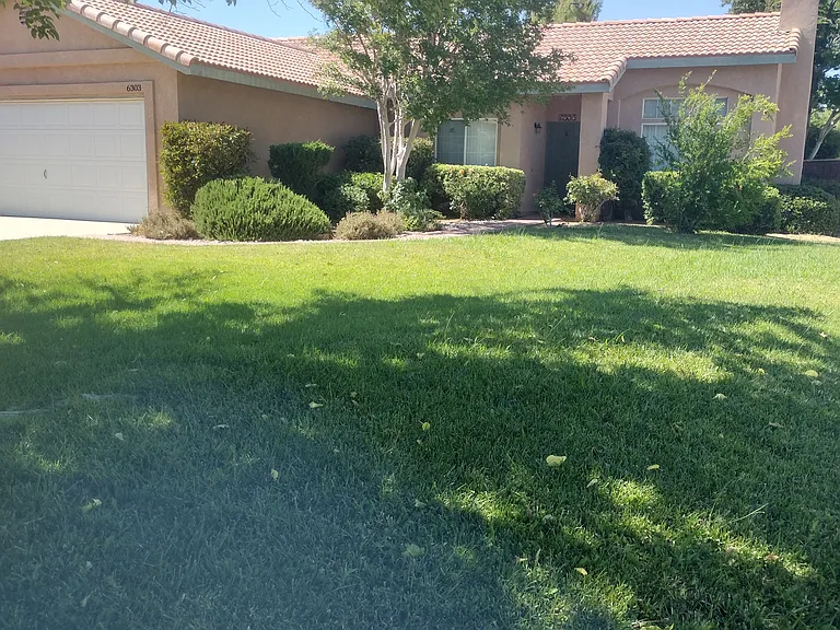 6303 Prairie Ct — Photo 1
