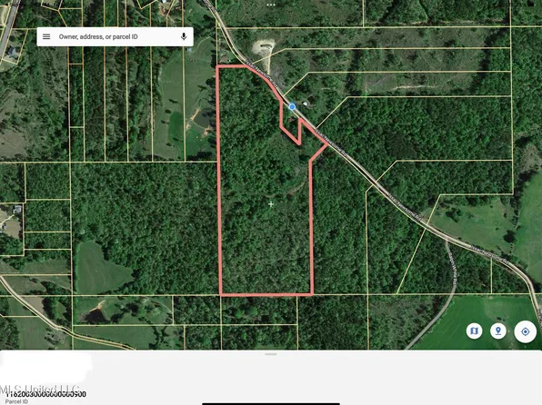 218 Issac Newsome Rd, Pinola, MS 39149