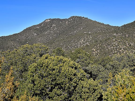 4th image of 202 Double Arrow Rd S