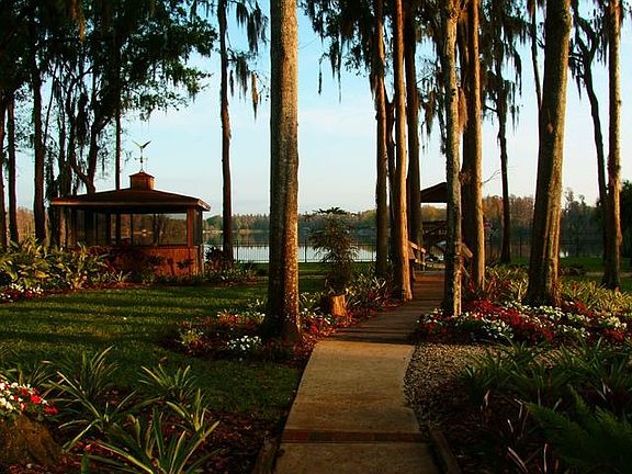 view out the kitchen window