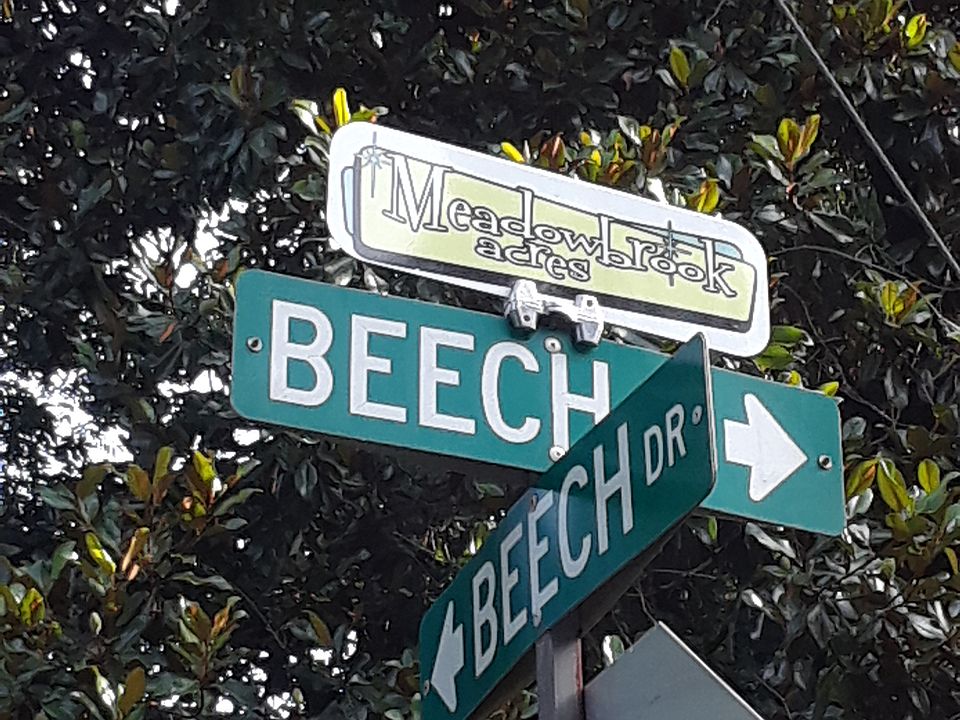 1st image of 3127 Beech Dr