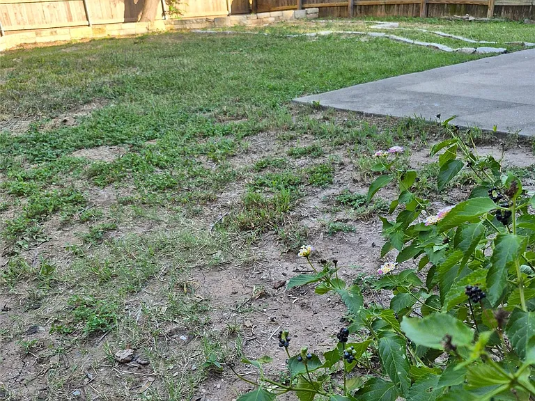 1139 Emmitt Run — Photo 25