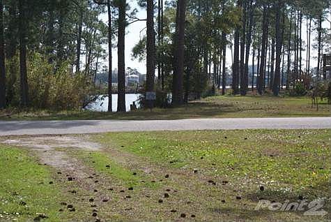 From lot looking S