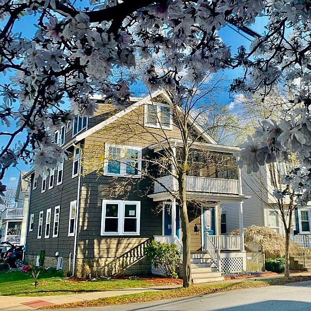 13 Francis Street 