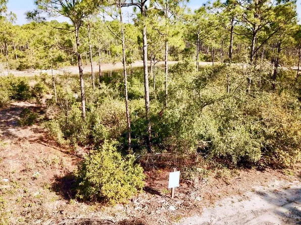 161 Lightning Bug Ln, Sopchoppy, FL 32358