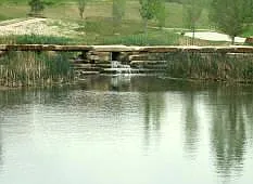 Duck pond