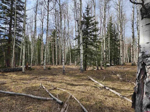 Tract 5 Alamosa Avenue, Jasper, CO 81144