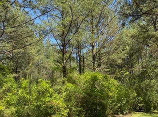 0 L V Clinton Rd, Hattiesburg, MS 39401