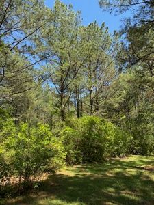 0 L V Clinton Rd, Hattiesburg, MS, 39401