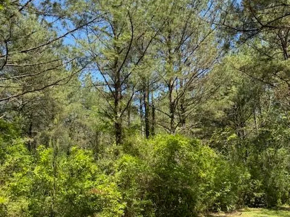 0 L V Clinton Rd, Hattiesburg, MS 39401