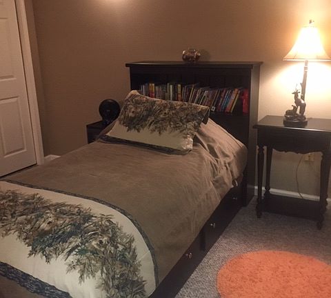 Basement Bedroom