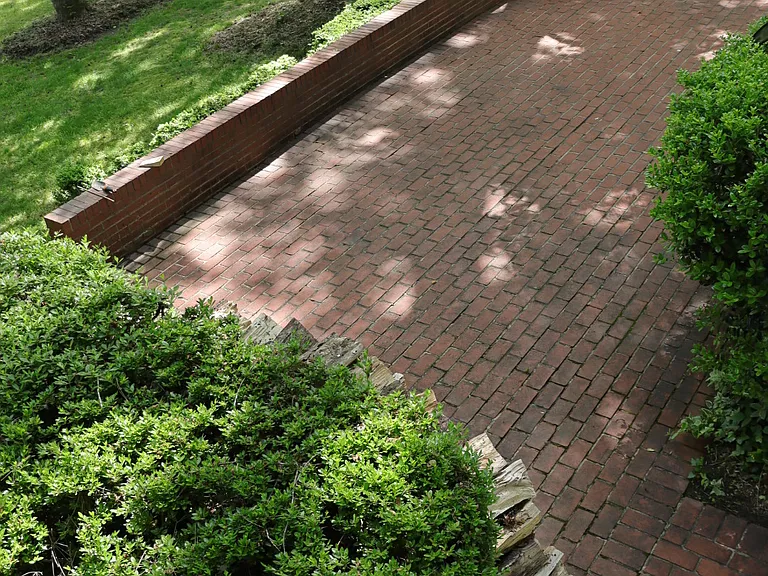 278 Dogwood Dr — Photo 14