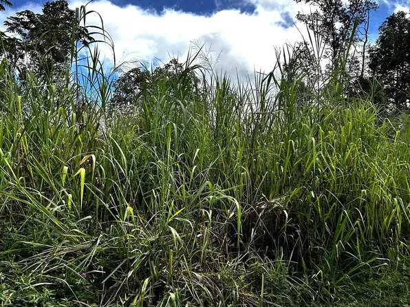 14-721 Seaview Rd Lot 11, Pahoa, HI 96778