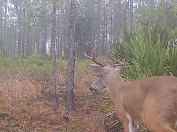 4th image of 0 Clyatt Rd