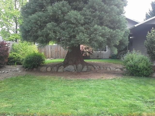 1st image of 1216 Glengrove Ave