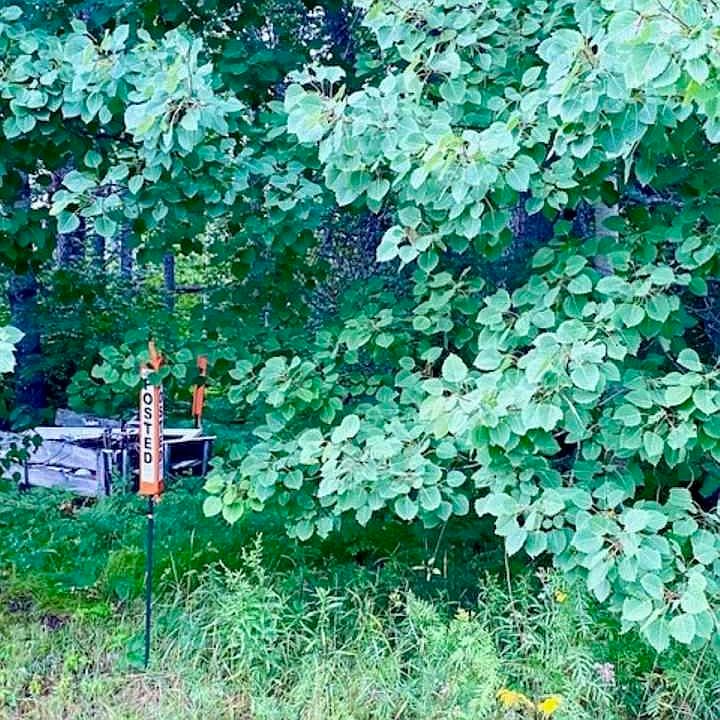 River Rd, Grand Rapids, MN 55744 Zillow