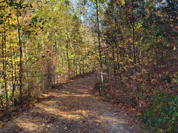 Old Burnt Mountain, Ellijay, GA 30540